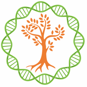 Irish Genealogy Research Credits